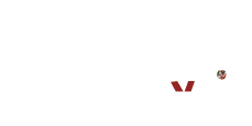 NETHR91 Logo